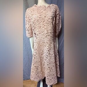 Teri Jon Blush Lace Midi Dress